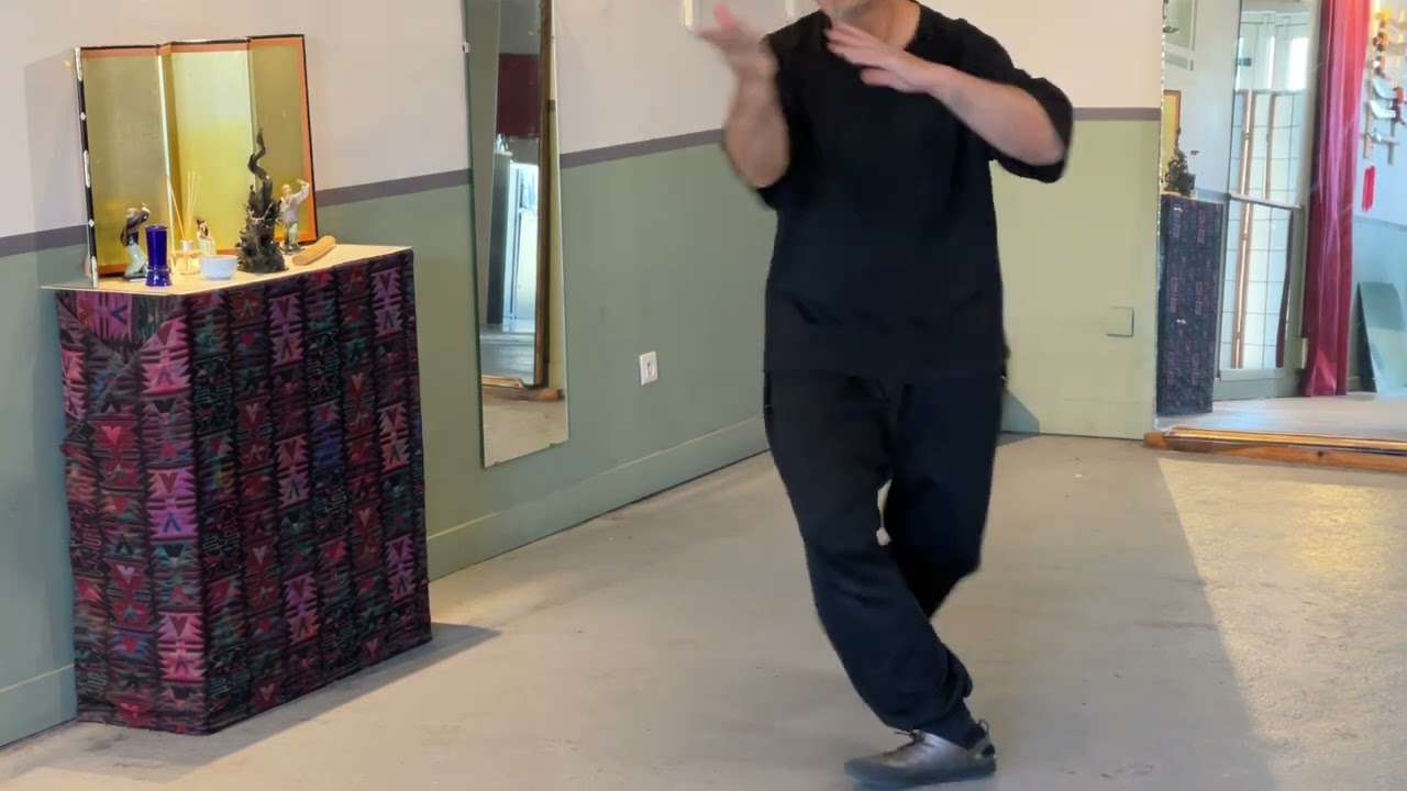 Arts martiaux internes - Taichi chuan - exercice d'application de la forme