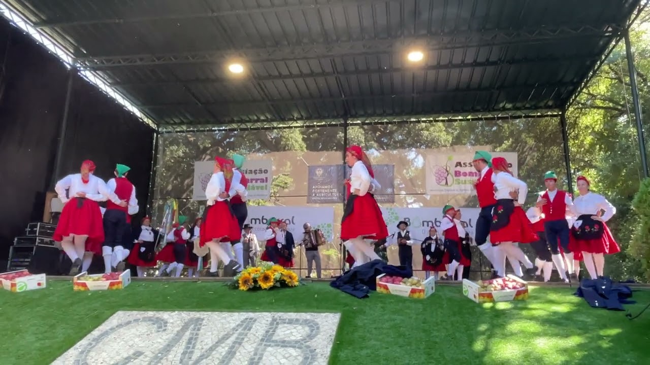 Rancho Folclórico Ceifeiras e Campinos da Sfus- Remexida