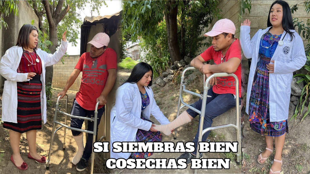 SI SIEMBRAS BIEN COSECHAS BIEN// Reflexión