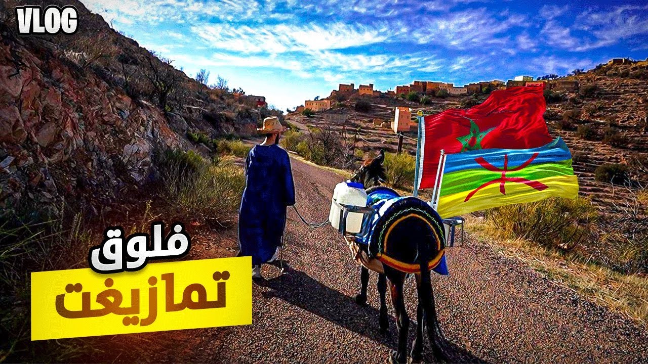 بيمو فتمازيغت 🥸