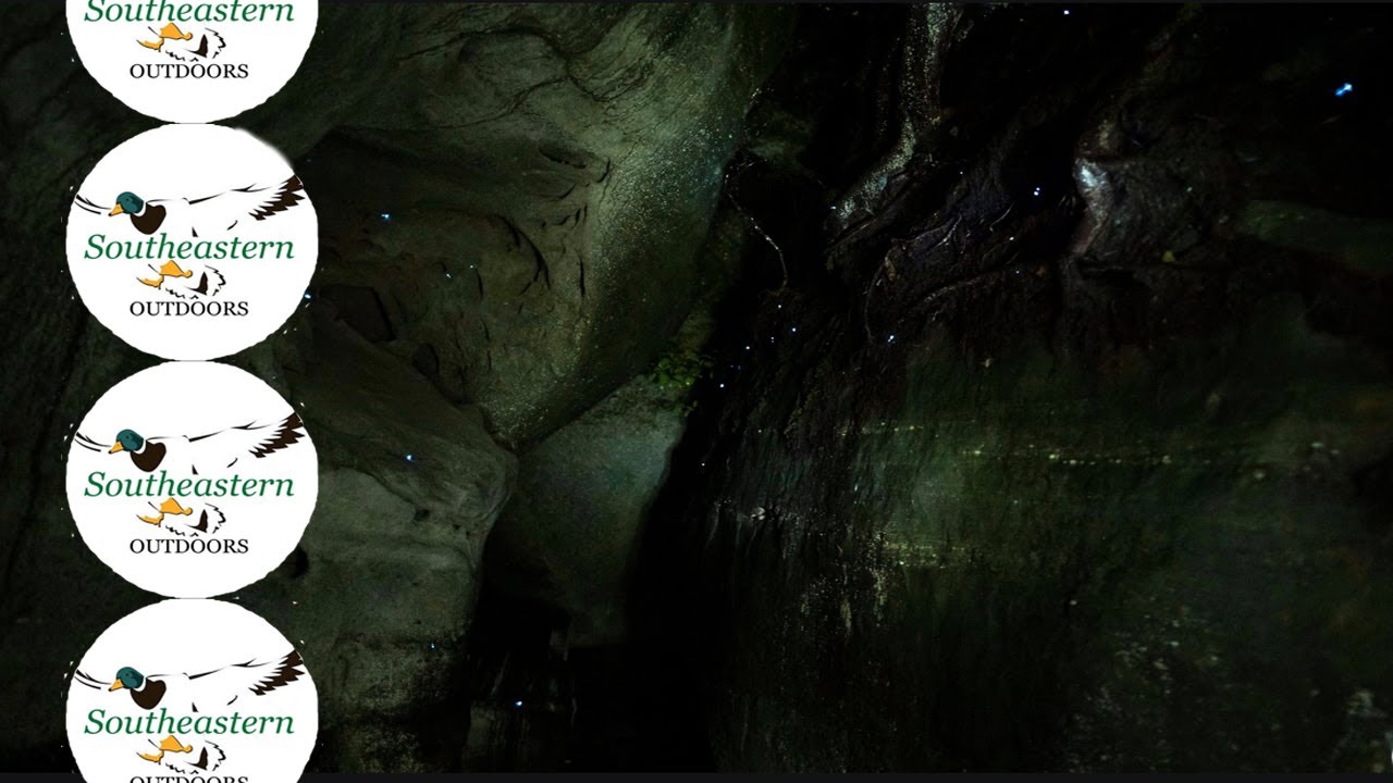 Exploring Alabama - Dismalite Glowworms at Dismals Canyon