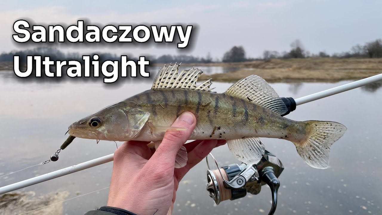 Wiosenne Sandacze na Ultra Lighta | Sandacze z Bugu | Przyłów Krąpia