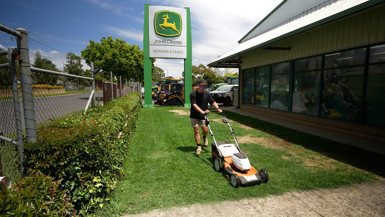 Did the Lawn Renovation Help Fix This Lawn? // 4 Week Results