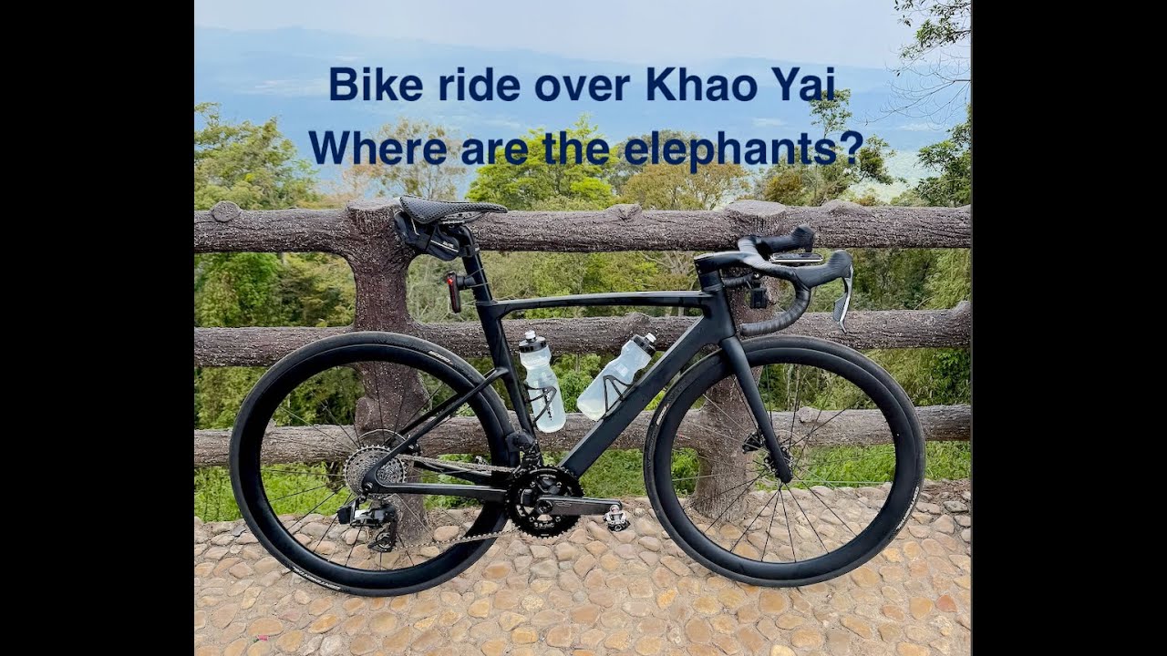 Looking for elephants in Khao Yai on my bike.