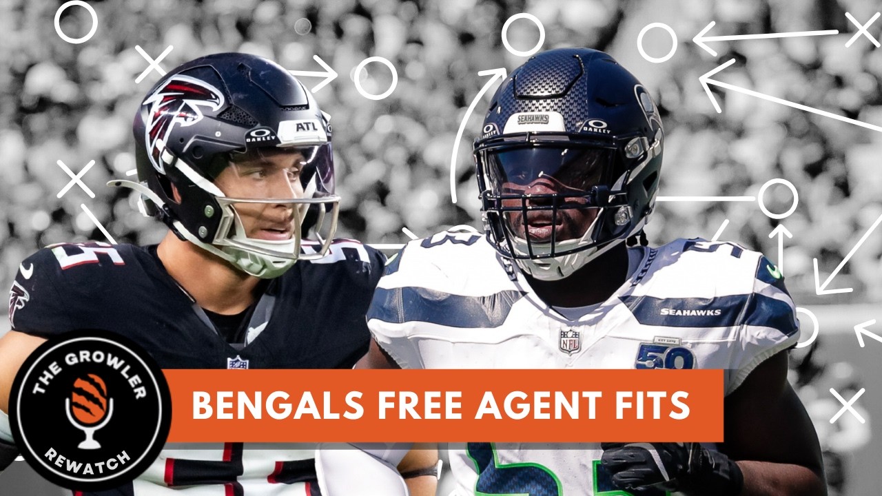 Bengals Free Agent fits