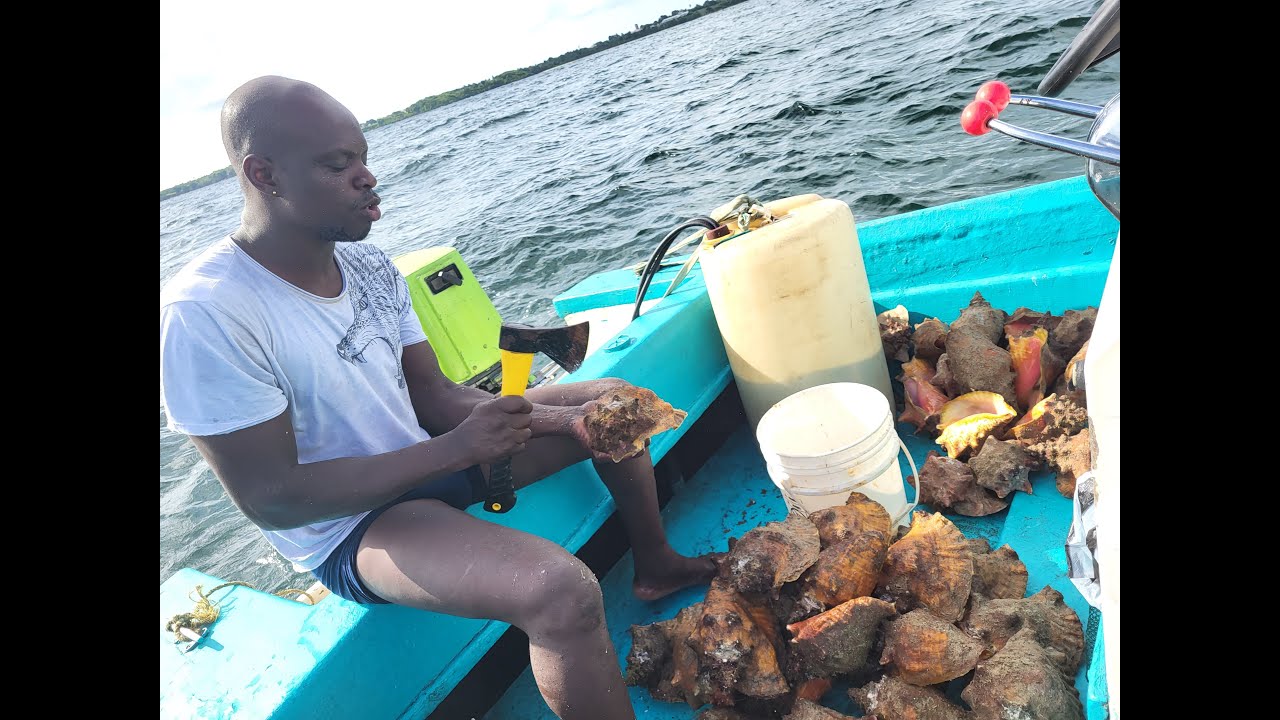 Conch Mission!