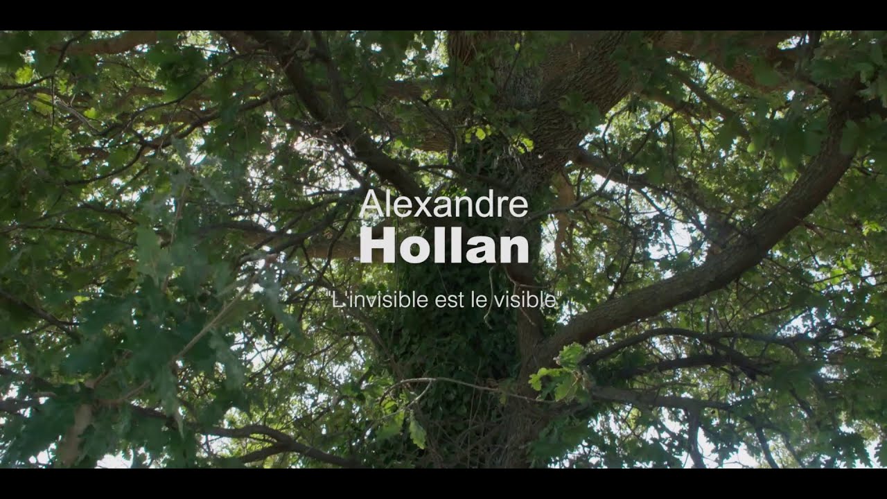 Alexandre Hollan 