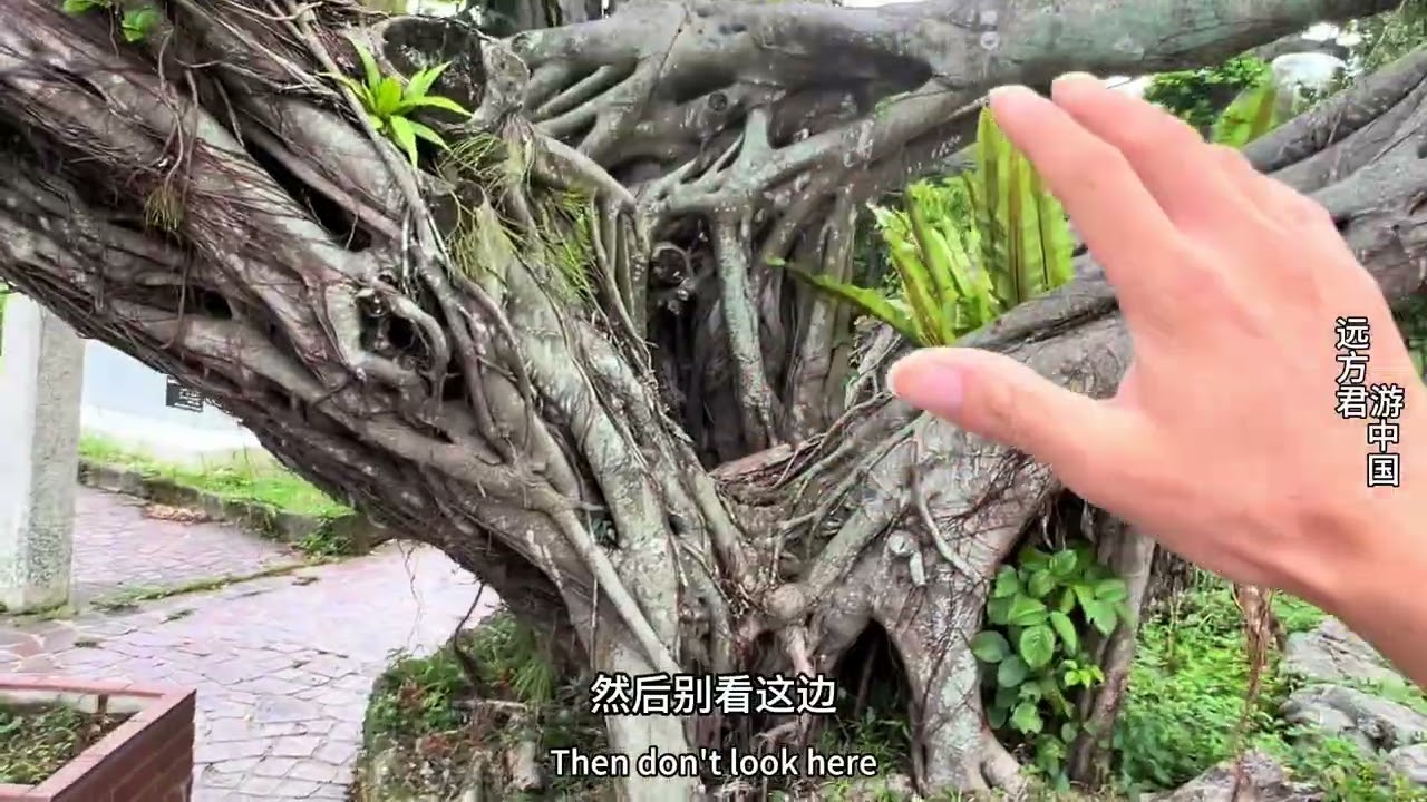 琉球人祖先来自哪？琉球居然建有闽人36姓纪念园，真和福建有关 #云游四海 #琉球的历史 #冲绳人为什么对日本认同感低