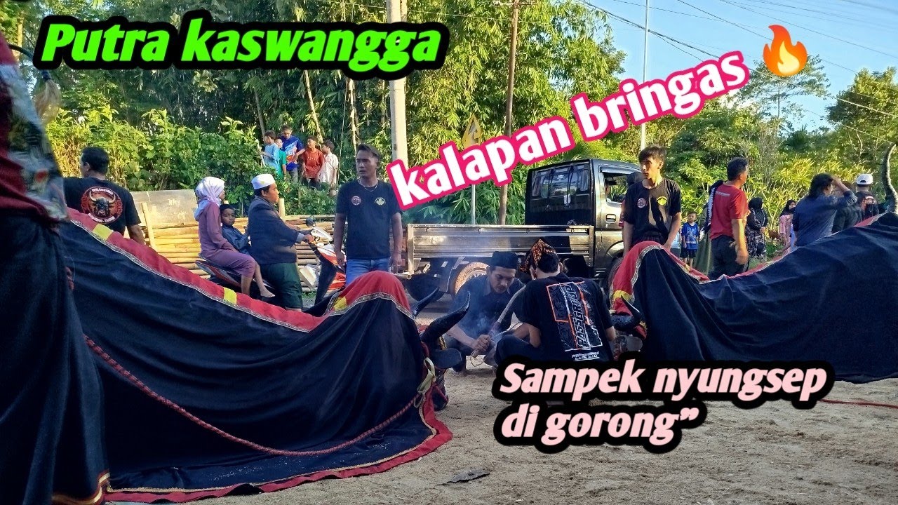Putra kaswangga live markas riswanda Mahardika #riswandamahardika #mahardikapro