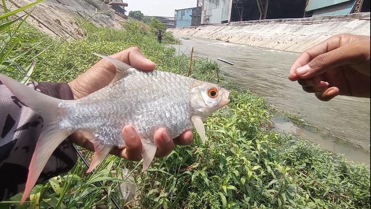 MENCOBA SPOT BARU YANG LAGI VIRAL DI KALI MALANG CIKARANG BEKASI ‼️