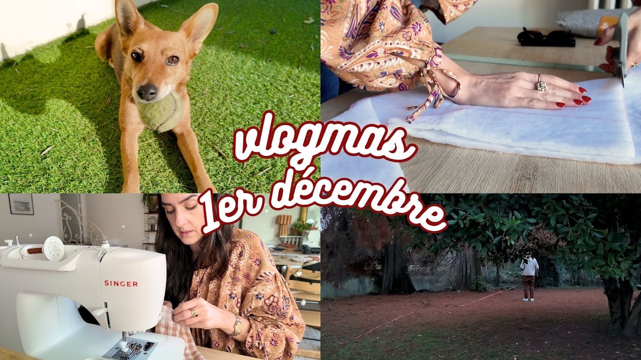 VLOGMAS #1 - Tuto Singer et promenade 🍂