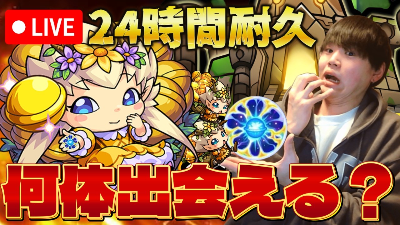 【モンストLIVE】24時間原生の神殿を周回し続けたらわくわくプリンセスは何体出るのか検証します