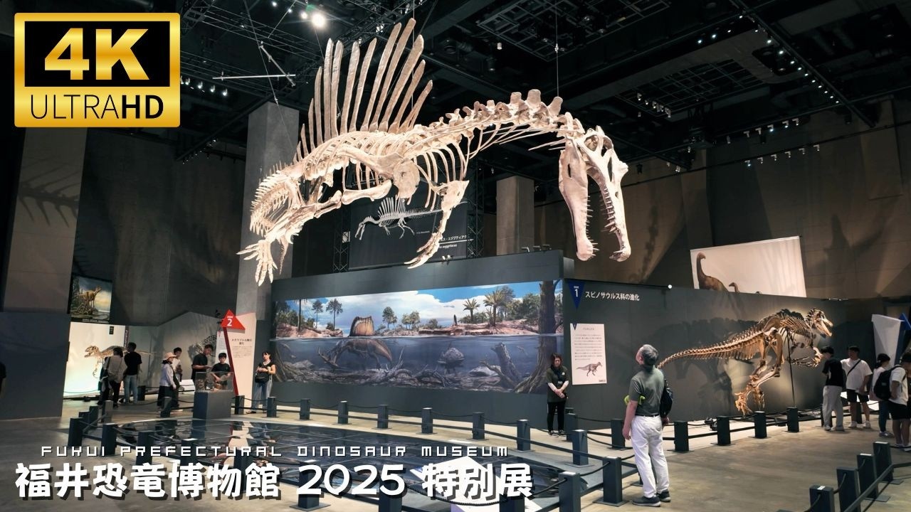 Fukui Dinosaur Museum 2025 Special: Spinosaurus & Rare Theropods Exhibit #福井県立恐竜博物館