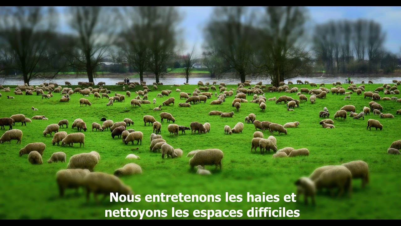 Ovinpiades 2020 - &eacute;preuve collective - Montmorillon #Environnement