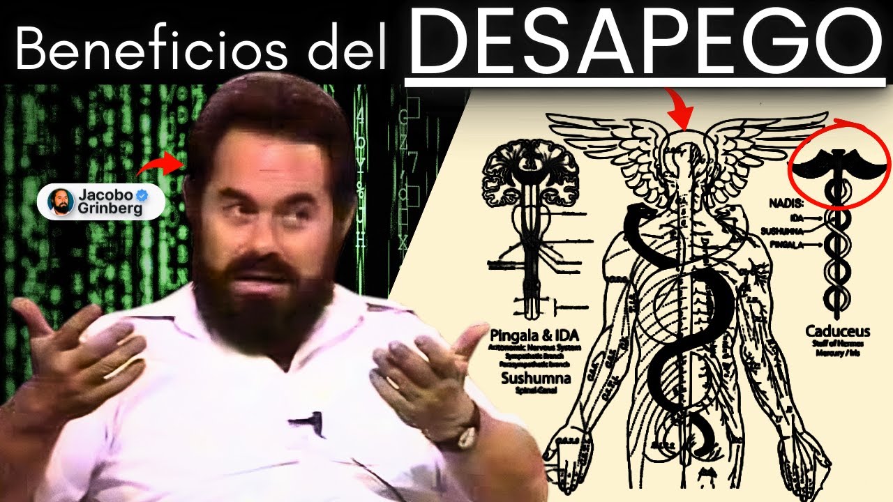 El Observador: El SECRETO Que Te Libera del APEGO | Jacobo Grinberg
