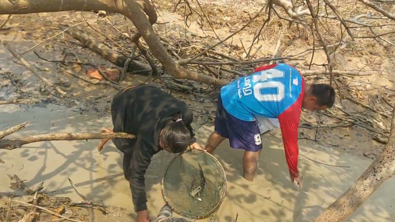 แม่ต้าเก็บกุ้งชิวยู่สะโพดโพว่ากุ้งชิวหลายๆคักเอาจนบ่อเบิดม่วนๆ