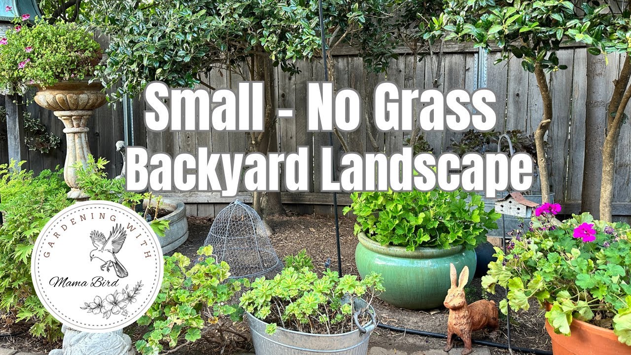 Garden Tour🌿Containers within the Landscape. #landscape garden tour #garden