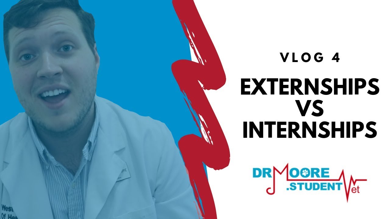 Veterinary Externships vs Internships -- What's the difference?! | Vlog 4