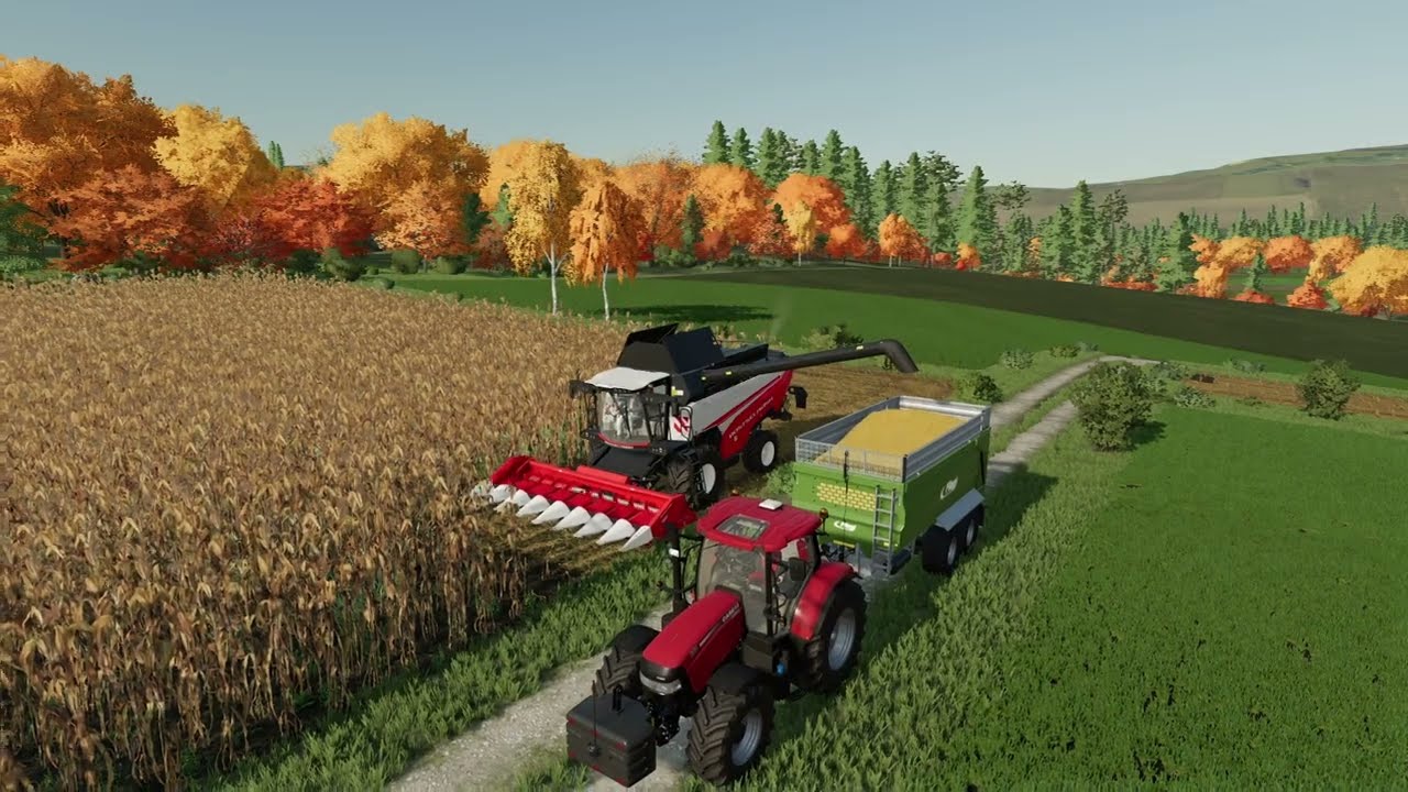 Brzozówka #6 | Koszenie kukurydzy | FS22 Timelapse | Farming Simulator 22 Timelapse