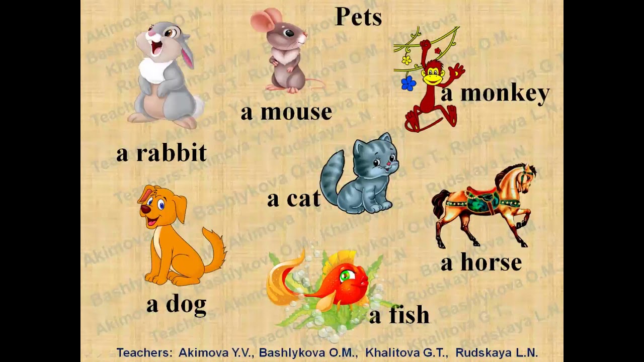 Smiles 1  Module 4  Lesson 1