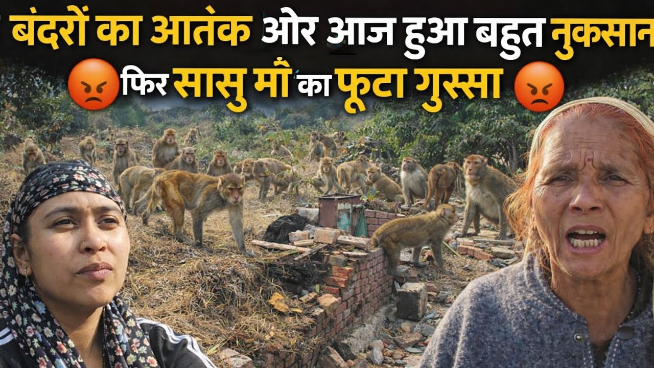 #आज बंदरों का आतंक और आज सुबह सुबह सासुजी ने की मेरी बेजत्ती #pahadivlogs #garhwalivlogger 