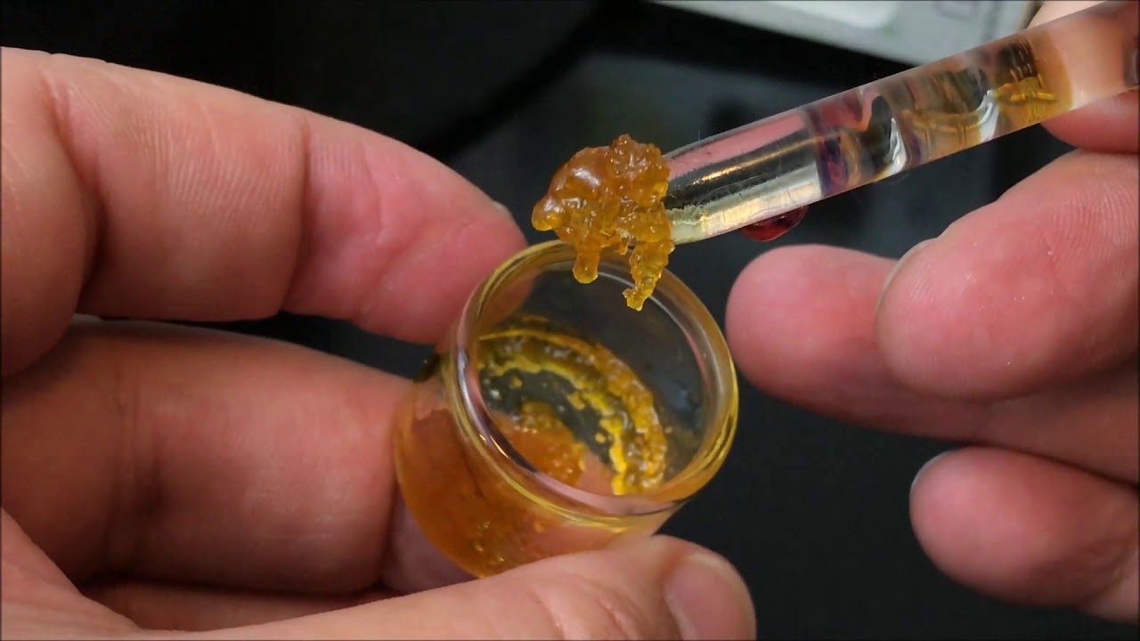 Recreational Cannabis Review of Animal Cookies Terp Sugar By Bodhi High Extracts