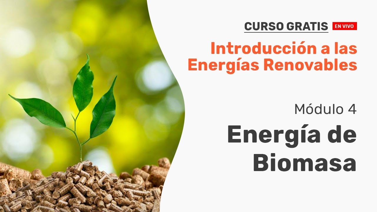 Energía de la Biomasa - Energías Renovables