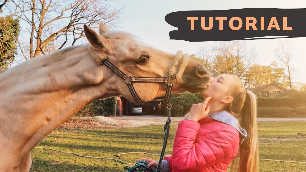 Küsschen lernen - SO GEHT'S!