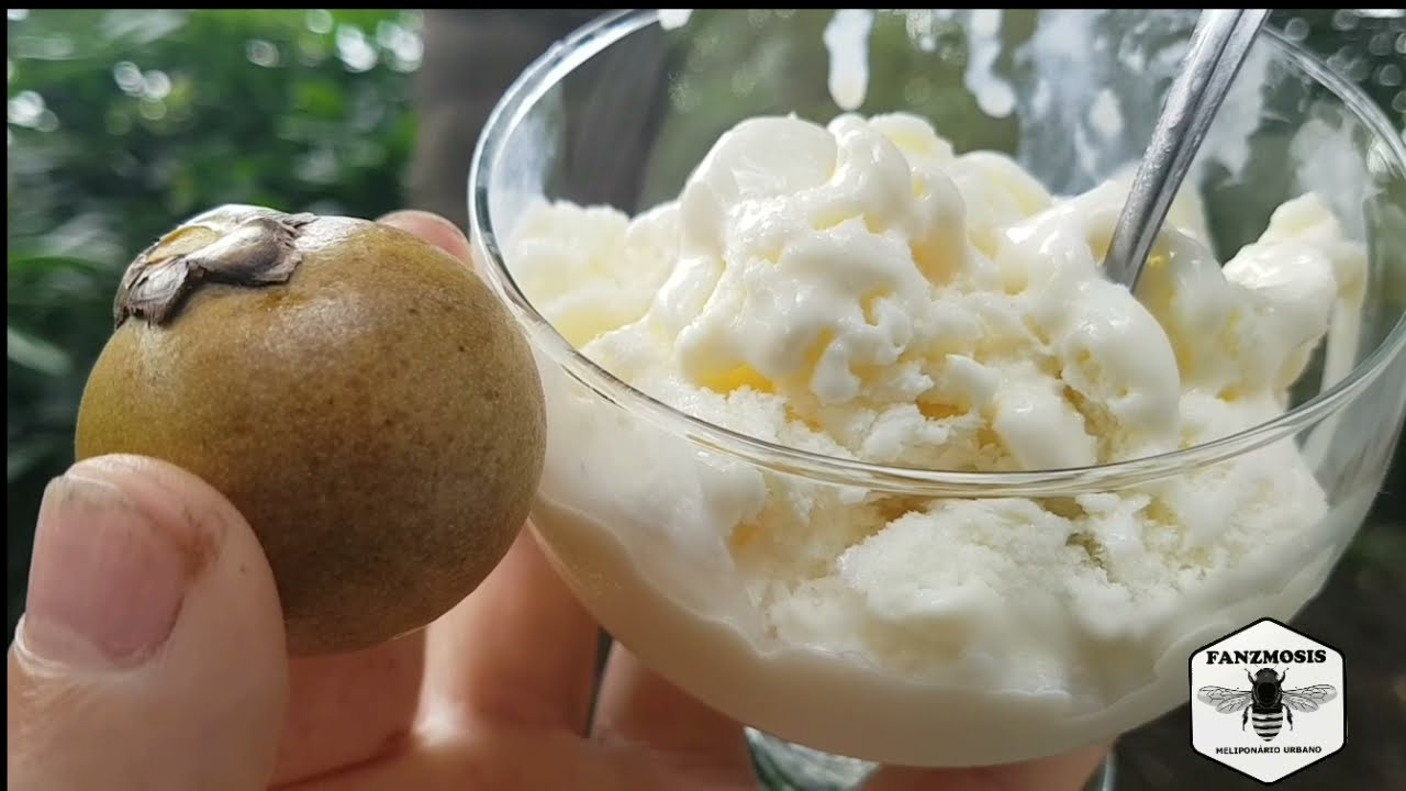 Como fazer - Sorvete caseiro com a polpa da Macaúba no liquidificador sem liga sem emulsificante!