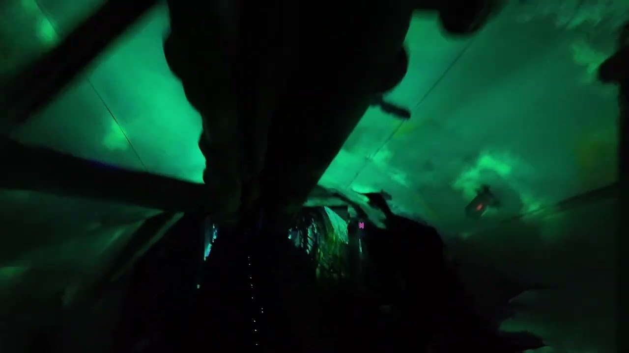 Crush's Coaster Disneyland Paris Ride POV