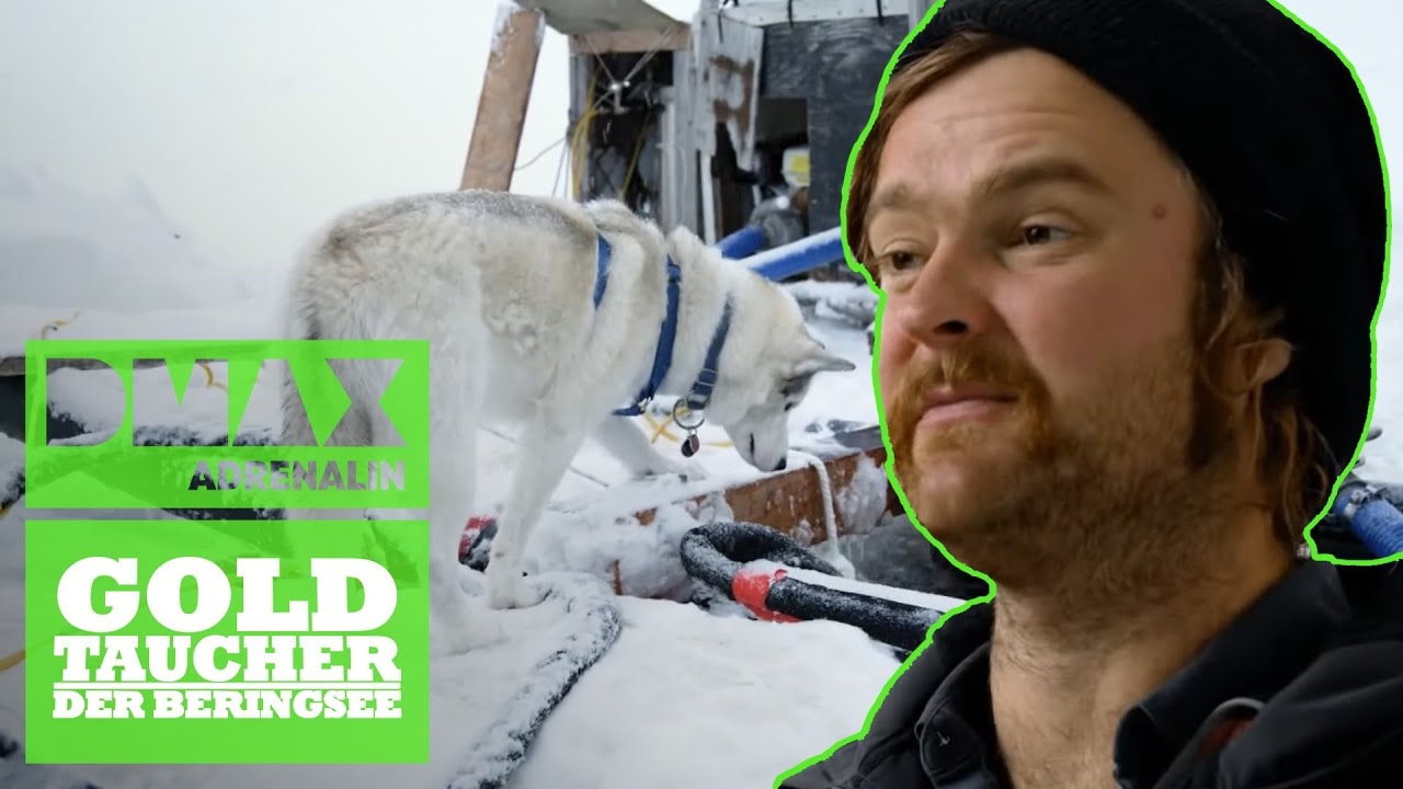 Die Gefahren des Eistauchens | Goldtaucher der Beringsee | DMAX Adrenalin