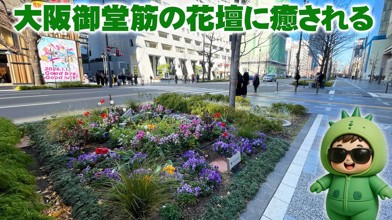 【トゲD🌵独り言】正方形の花壇のデザイン／心斎橋の大丸百貨店やパルコ前の街の花壇を観賞する【公共花壇】