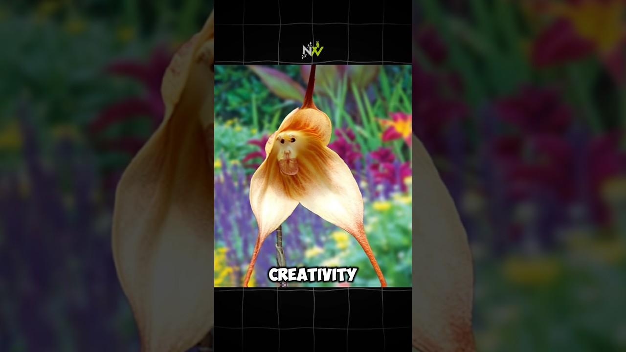 10 Plants That Look Like Animals #shorts #plants #animals