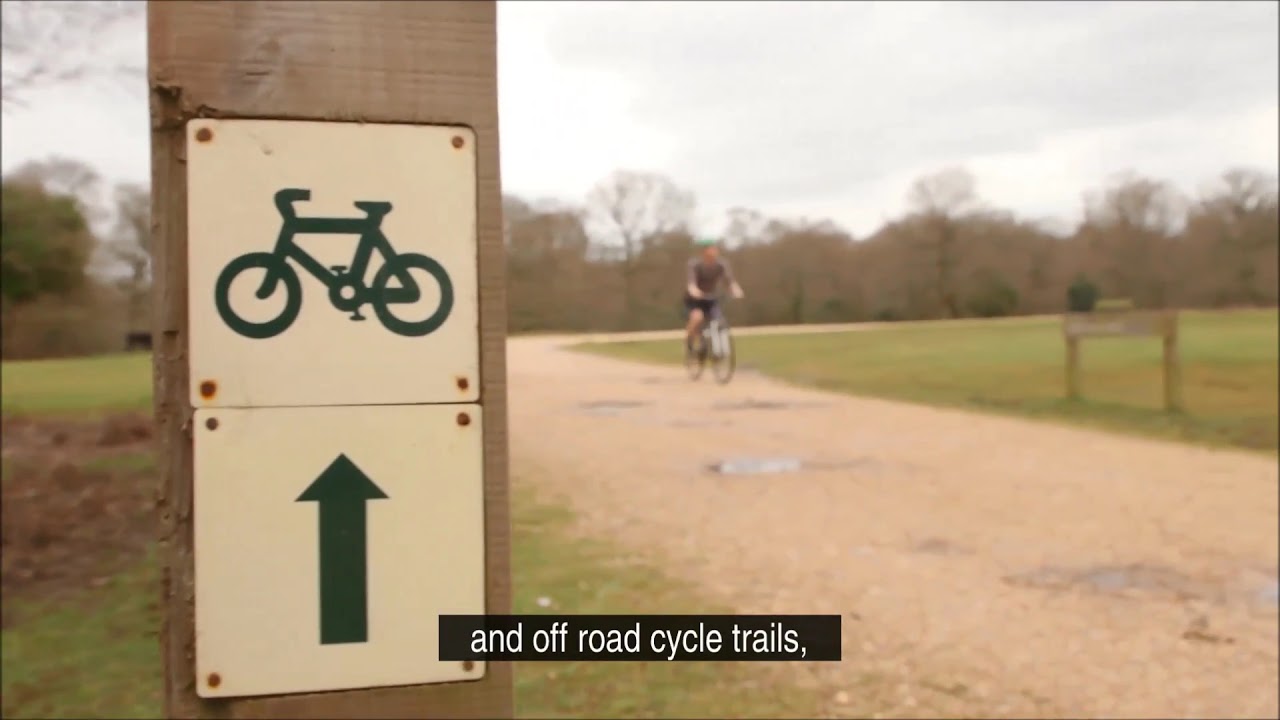 Cycling in the New Forest