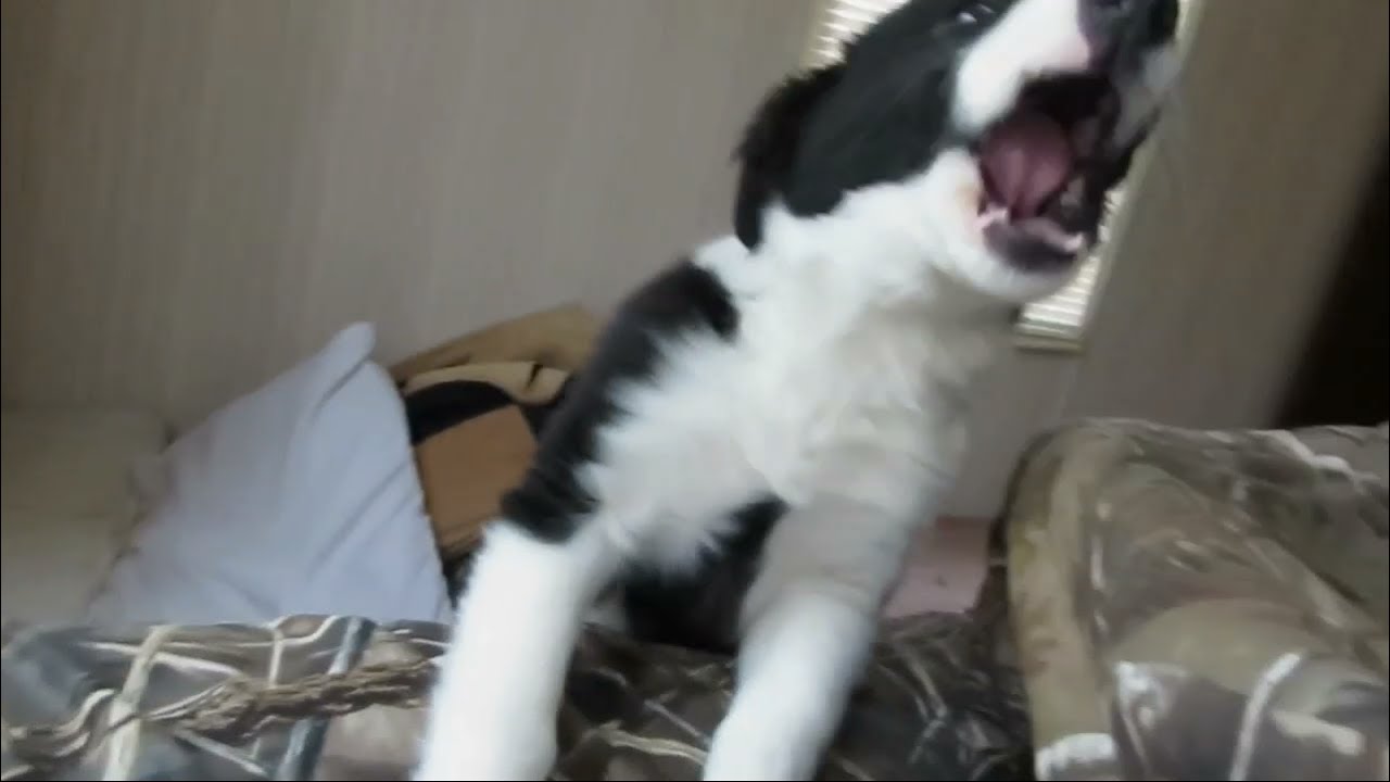 Laziness is not an option!