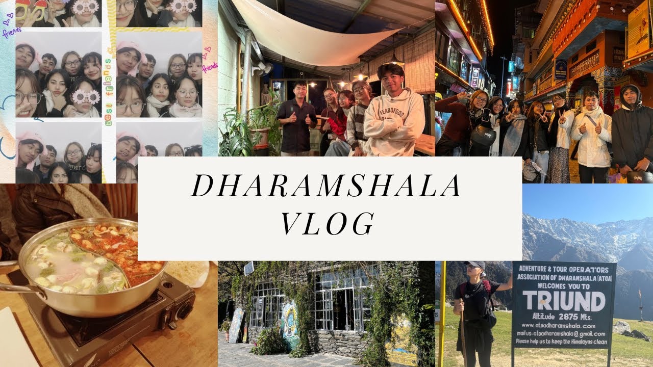 Dharmshala kan zin na Vlog : Gyuto Monastry ,Triund Trek,Tibet Kitchen