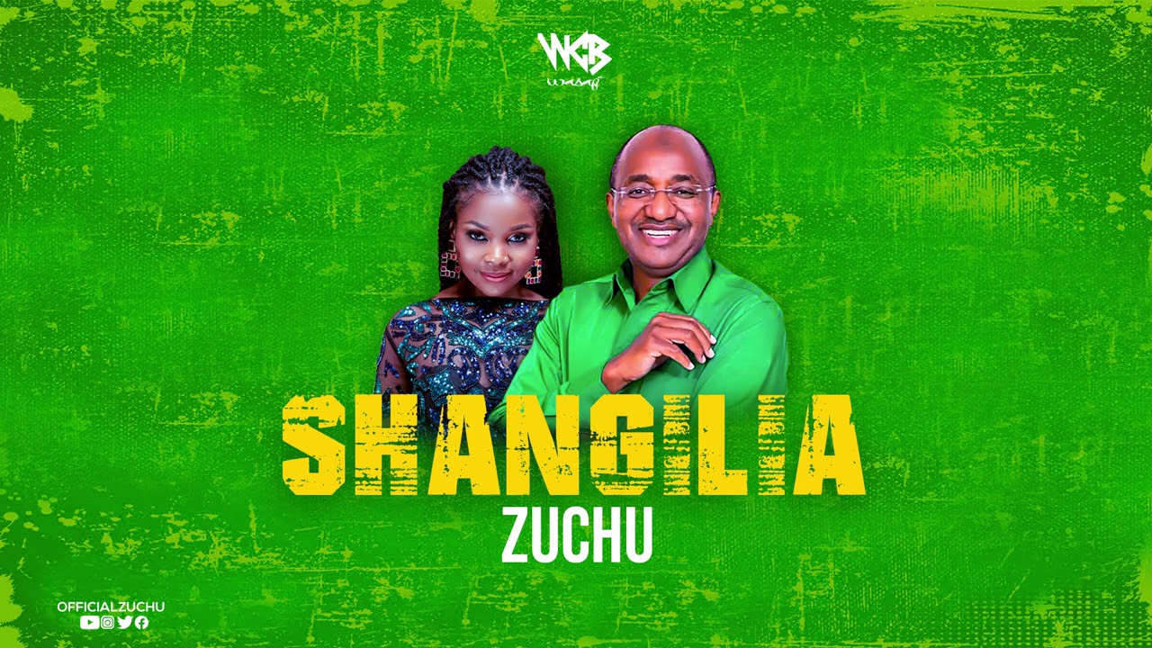 Zuchu - Shangilia (Official Audio)
