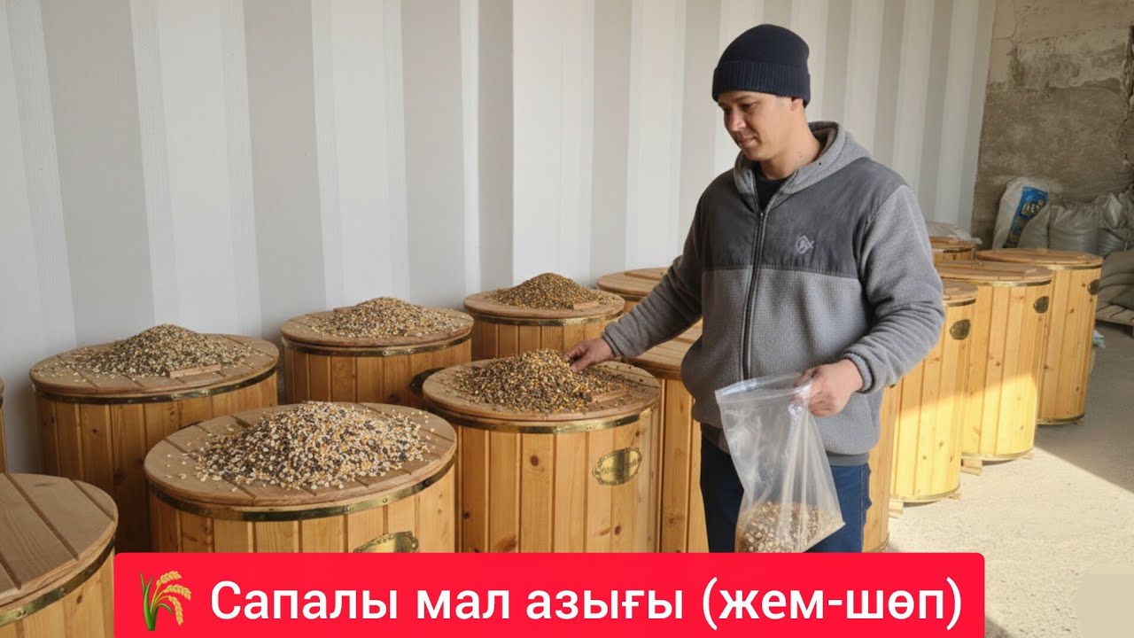 ​«Мал азығынан — үй сәніне дейін. Бәрі бар!»