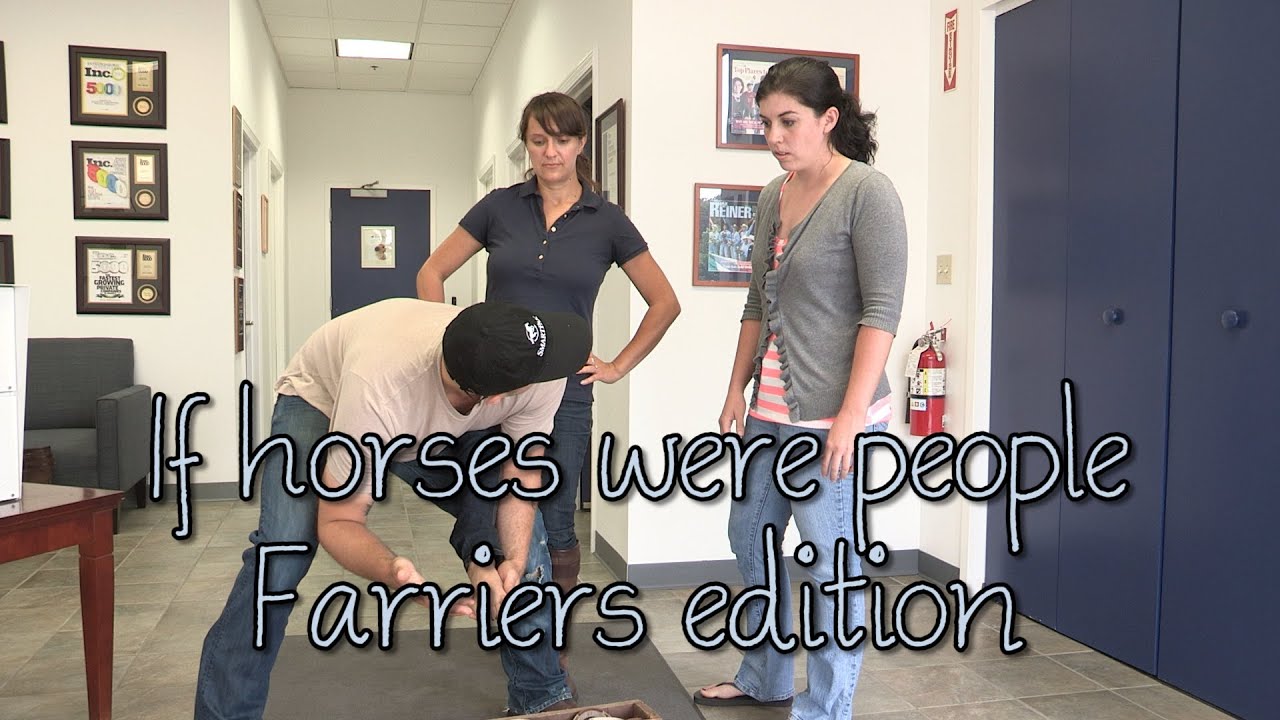 If horses were people - Farriers edition