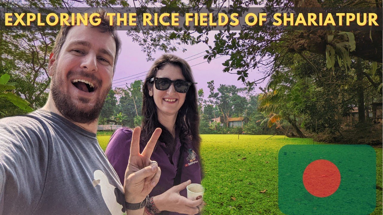 Barefoot In The Rice Fields of Bangladesh, Shariatpur 🇧🇩 বাংলাদেশের ধান ক্ষেতে খালি পায়ে