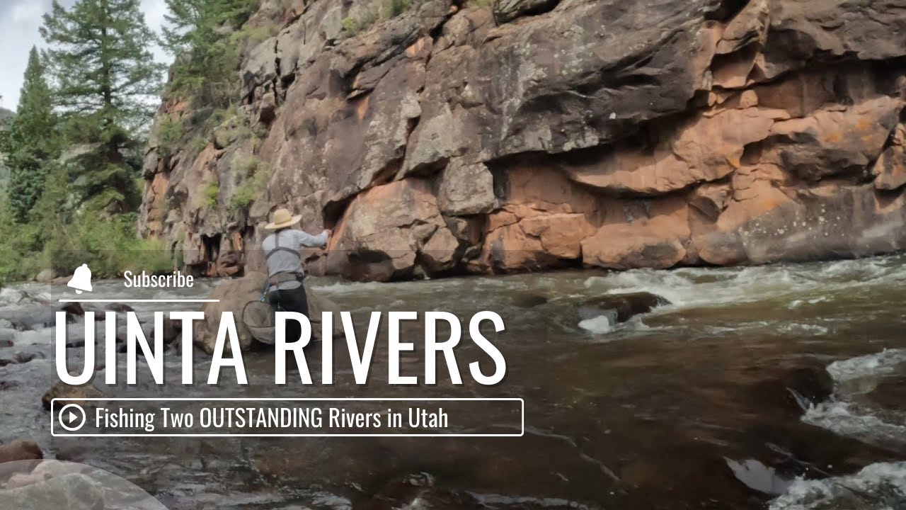 Utah Uinta Rivers | Fly Fishing Two EXCELLENT Rivers