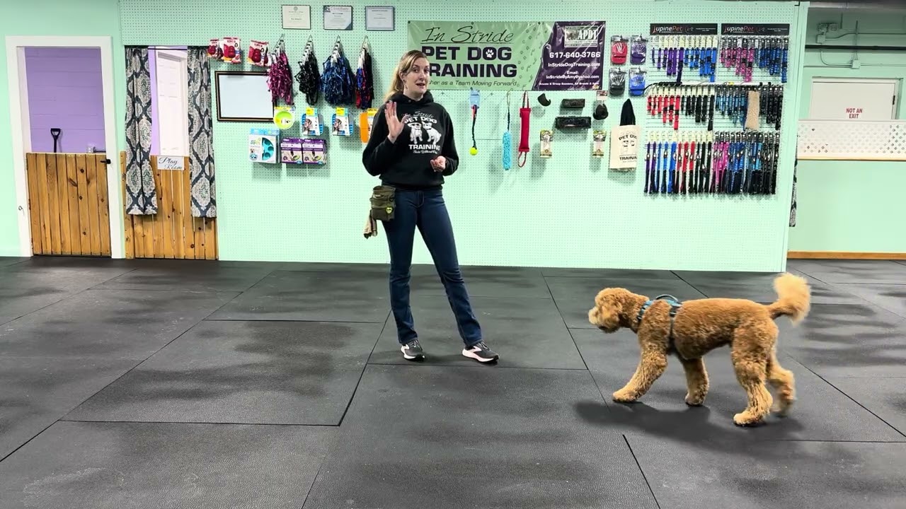 Bernie - Warm ups with Find its & Benefits of the Skill. How to Avoid a Jumping Pup.