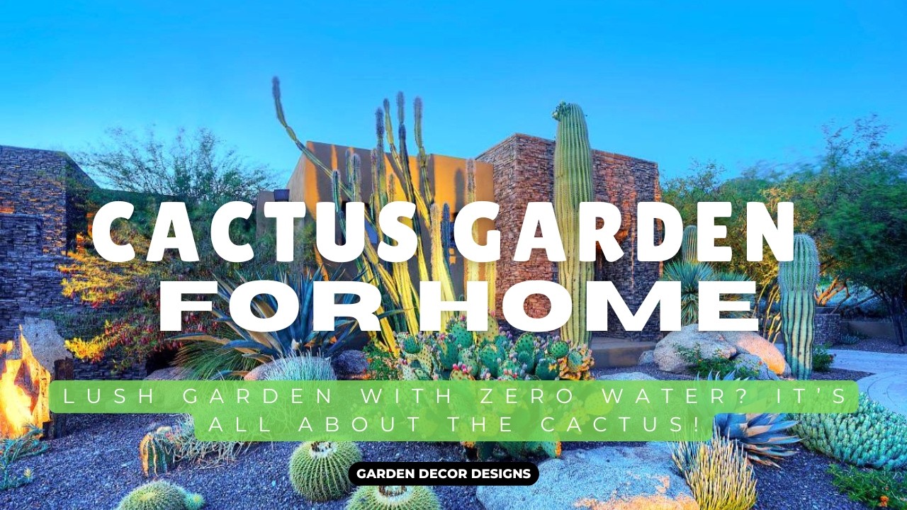 HOME CACTUS GARDEN DESIGN IDEAS | TIPS TO TRANSFORM THE YARD TO STUNNING DESERT OASIS WITHOUT EFFORT