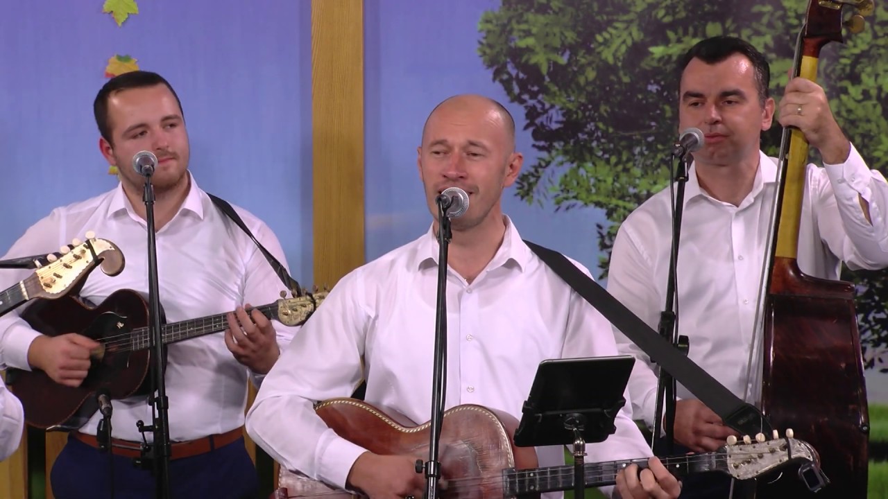 TS TKANICA - Dozvoli mi da te zaboravim