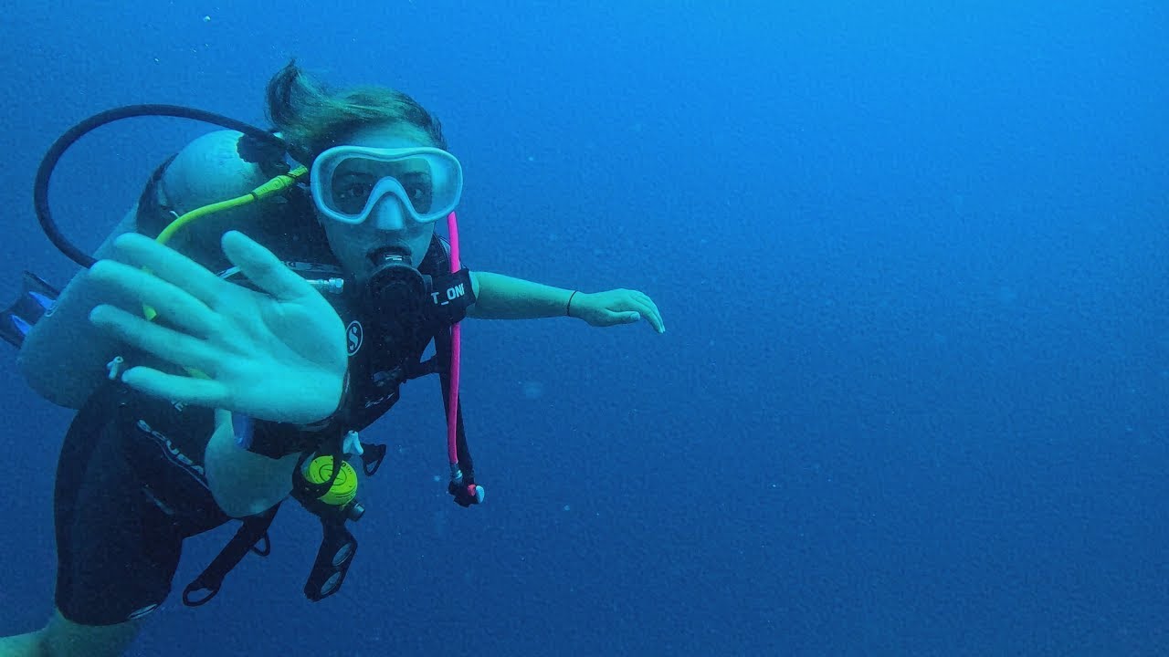 Scuba diving Red sea Hurghada Egypt Small Giftun 30 meter deep/ drift dive 28/08/2024