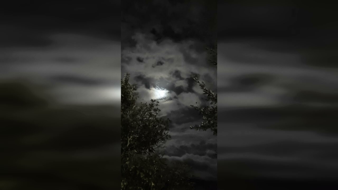 Sting - Sister Moon (Cover by Paolo Proietti)