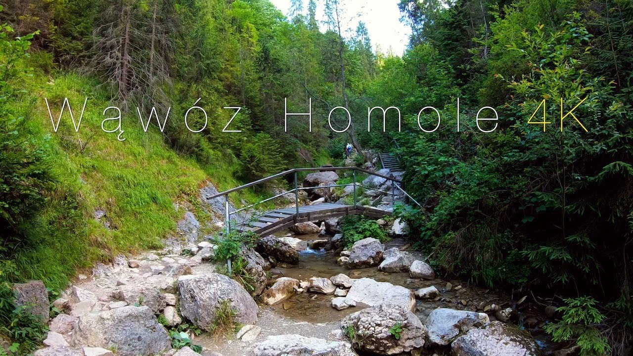 Wąwóz Homole 4K