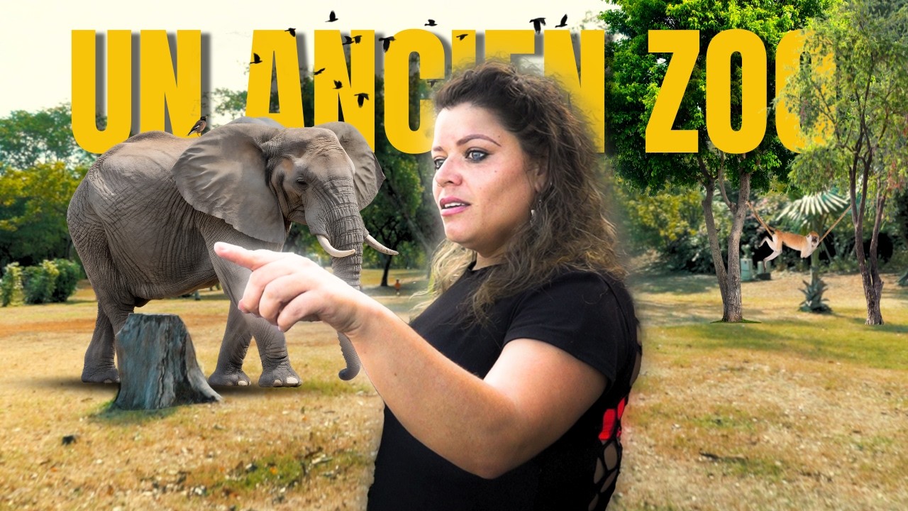 LE ZOO FANTOME DE GAELLE