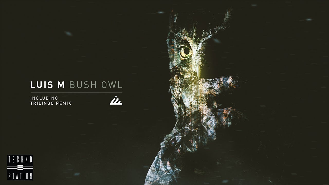 Luis M - Bush Owl (Trilingo Remix)
