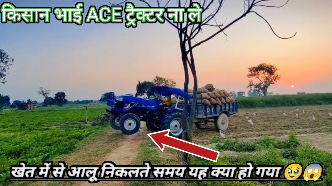 खेत में से आलू निकलते समय यह क्या ट्रैक्टर में हो गया 😱❌#किसान भाई ACE ट्रैक्टर ना ले #viralvideos 🥹
